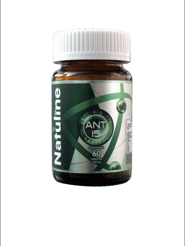 Diseño sin título 7 ANT-15